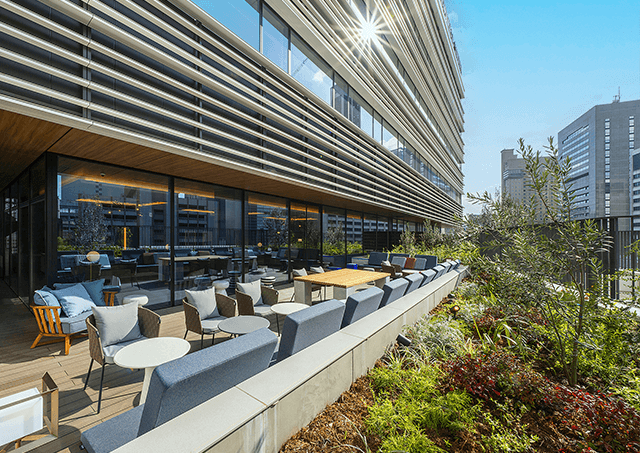 露台休息室/午餐