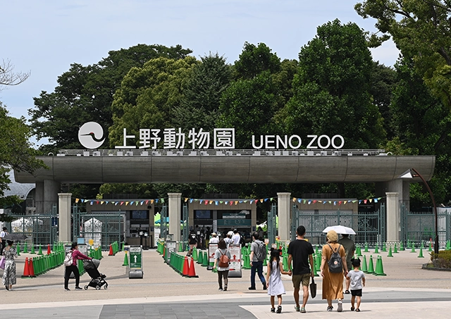 UENO ZOOLOGICAL GARDENS / 乘坐火车和步行约 23 分钟