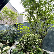 【最多入住4人】豪华露台双床（床宽140cm×2张）