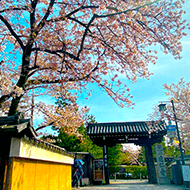 建仁寺/徒步约5分钟