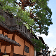 花见小路/徒步约3分钟