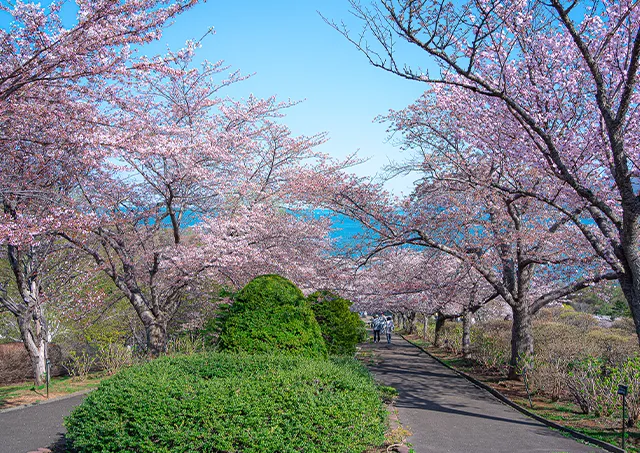 手宮公園／バス・徒歩で約30分