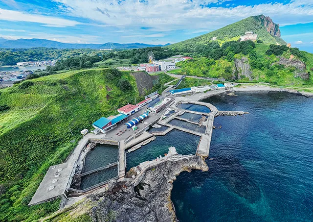 おたる水族館／車で約10分