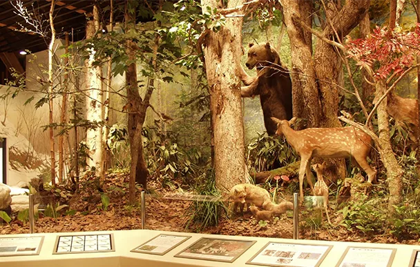 小樽市综合博物馆本馆运河馆