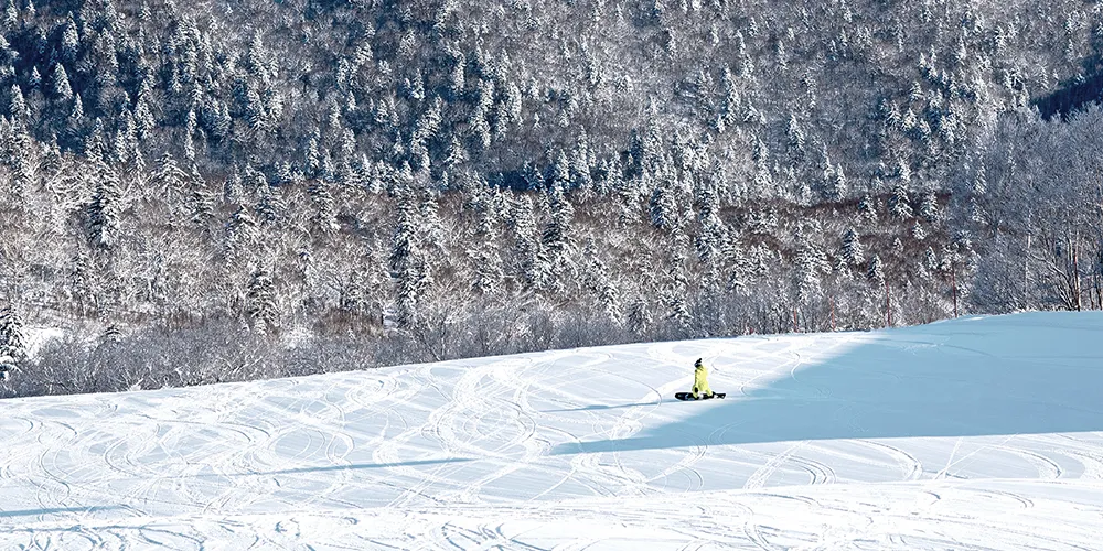 札幌國際滑雪場