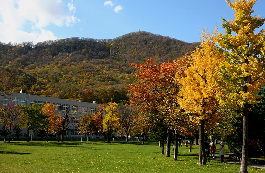 藻岩山 山頂展望台