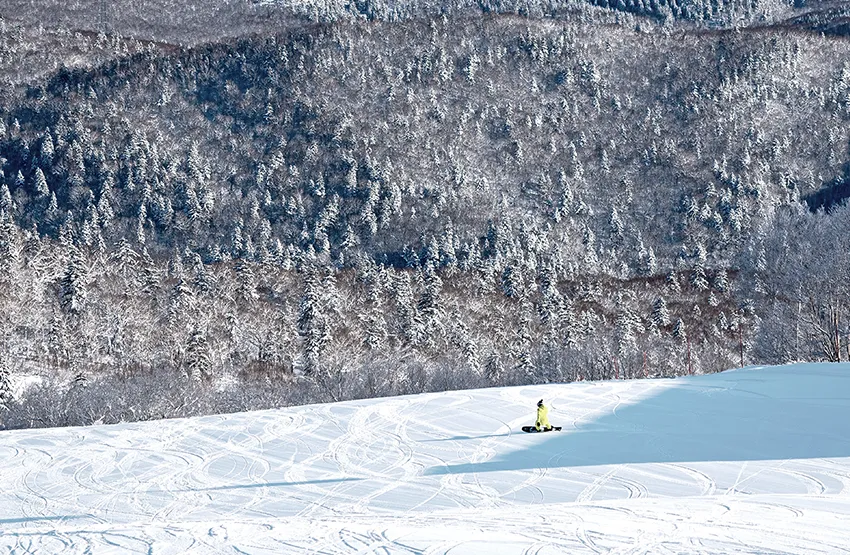 札幌國際滑雪場
