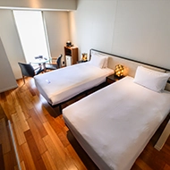 成熟高管双胞胎