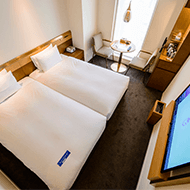 标准好莱坞双床