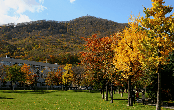 藻岩山 山頂展望台